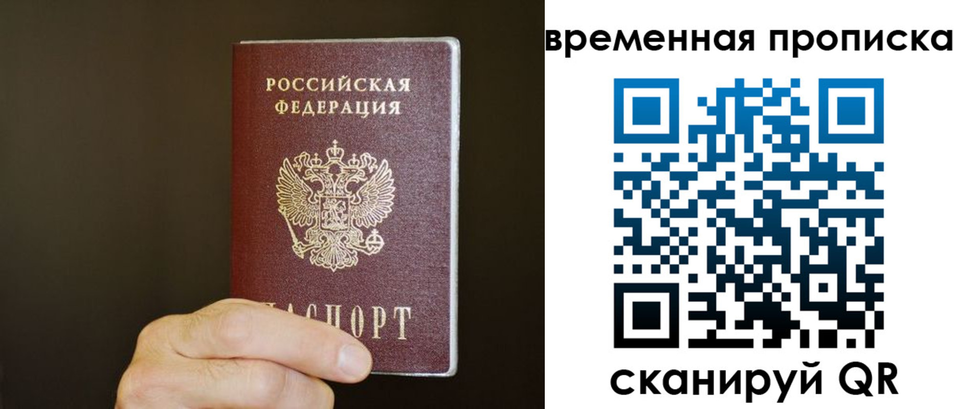 регистрация для школы в Московской области